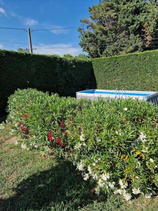 St Remy De Provence, La Maison Du Berger Saint-Andiol Екстер'єр фото