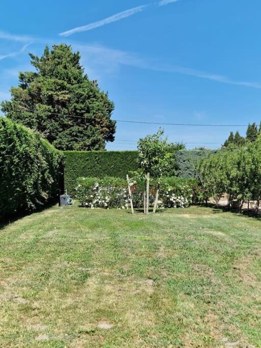 St Remy De Provence, La Maison Du Berger Saint-Andiol Екстер'єр фото